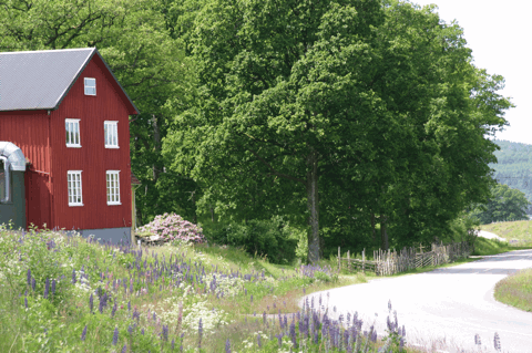 Fabriken
